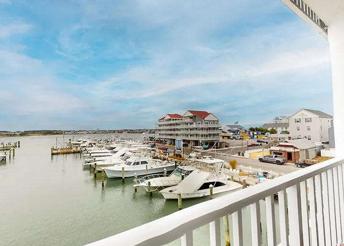 White Marlin 208b * Ocean City